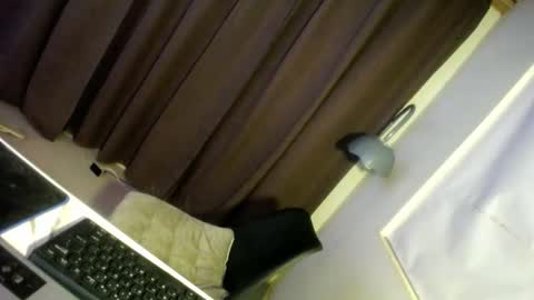 Precious online show from 29, 12, 2024