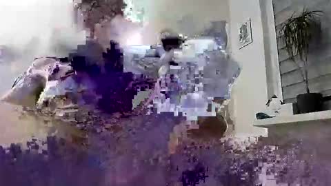 David online show from 4, 3, 2026