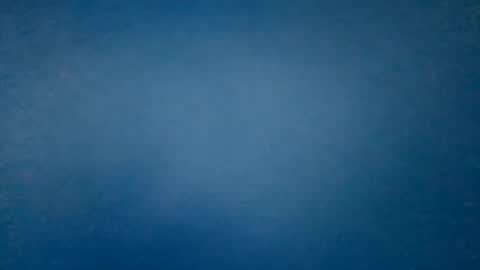 hummelbummel00 online show from 14, 2, 2026