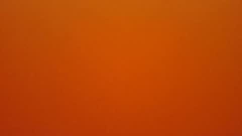 hundeleine online show from 16, 2, 2026