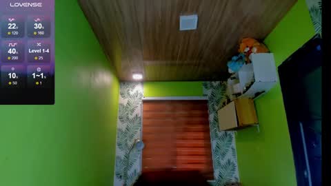 Snapshot of hungasiangirl chatting on 2, 12, 2024 help me make 25000 tokens for my mother HEARING aid online show from 2, 12, 2024