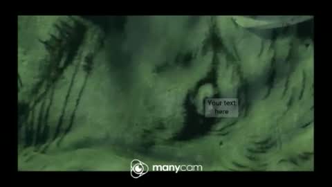 hung420boner online show from 10, 3, 2026