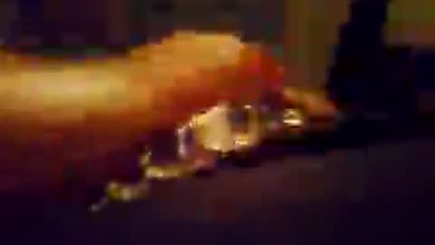 Snapshot of hungnhard1991 chatting on 23, 7, 2026 Aussieboy69 online show from 23, 7, 2026