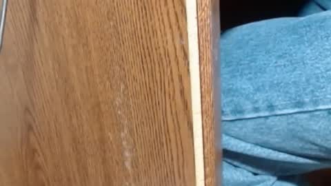 Snapshot of hungsofine chatting on 8, 1, 2025 hungsofine online show from 8, 1, 2025