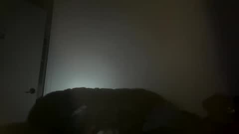 Snapshot of hustlemacc chatting on 16, 11, 2025 hustlemacc online show from 16, 11, 2025