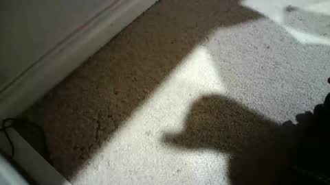 Hypeman online show from 26, 2, 2026