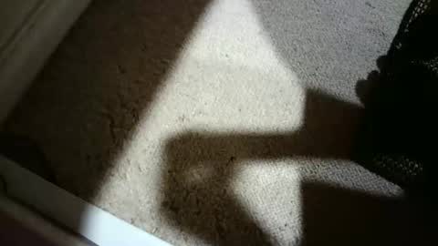 Hypeman online show from 27, 2, 2026