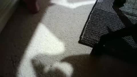 Hypeman online show from 25, 4, 2026