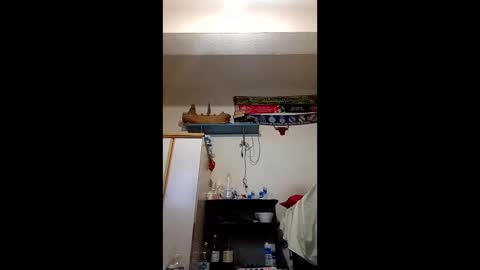 ia1405 online show from 2, 12, 2025