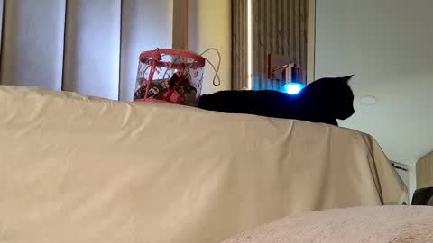 Snapshot of iamnyxy_ chatting on 20, 11, 2025 Nyxy online show from 20, 11, 2025