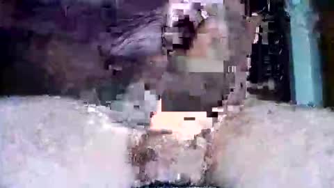 Pat online show from 31, 3, 2026