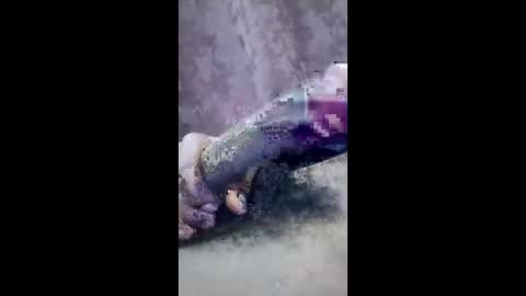 Snapshot of ibhcgvuspcrb chatting on 4, 3, 2026 ibhcgvuspcrb online show from 4, 3, 2026