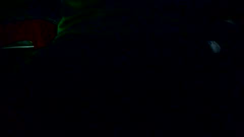 Nicolas online show from 4, 12, 2025