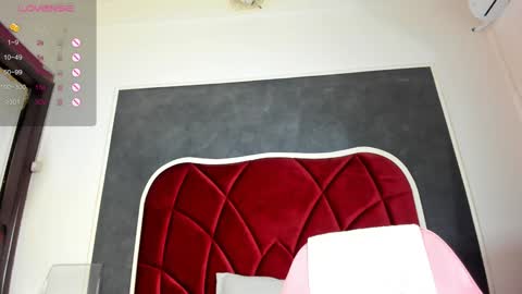 illegal_lorry online show from 16, 1, 2025