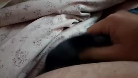 ilovepussy1974 online show from 27, 7, 2026