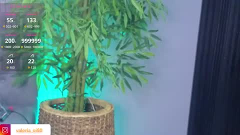 Perla online show from 20, 7, 2026