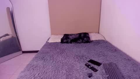 Snapshot of im_perseo_ chatting on 26, 2, 2026 Perseo - Help me with 50 thumbs up online show from 26, 2, 2026