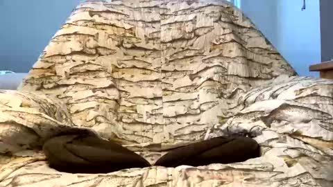 thanks for visiting online show from 16, 12, 2025