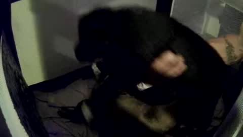 Snapshot of imtru chatting on 14, 2, 2025 imtru online show from 14, 2, 2025