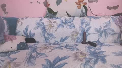 Parul online show from 1, 2, 2026