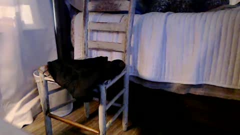 Snapshot of indicasonly chatting on 4, 1, 2025 indicasonly online show from 4, 1, 2025