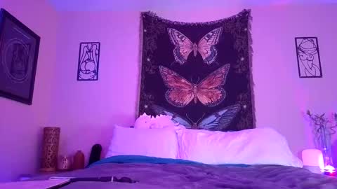 Indigo Bay online show from 19, 1, 2026