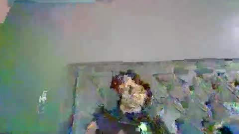 Snapshot of introducingthebrilliance chatting on 6, 10, 2025 WillyTripleXxx online show from 6, 10, 2025