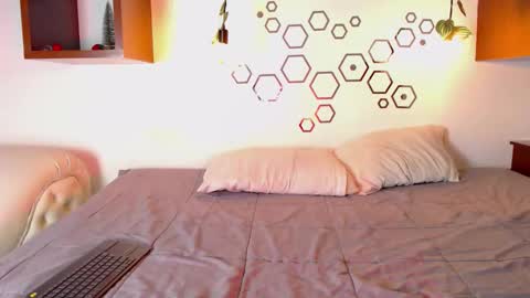 Iirs online show from 23, 12, 2025