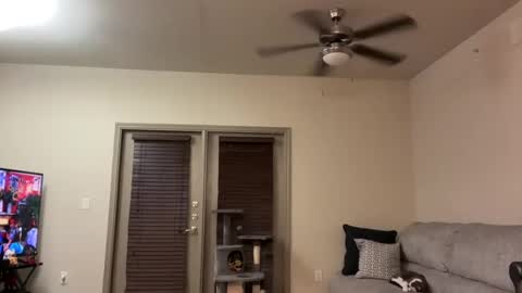 irissweets online show from 12, 3, 2025