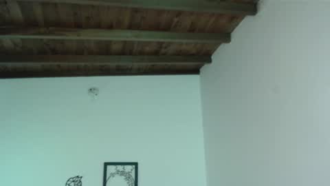 Iris online show from 16, 1, 2025