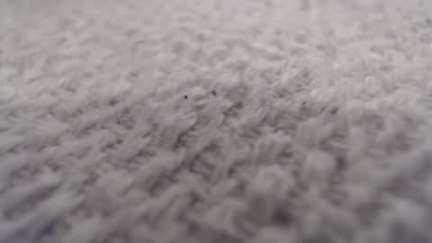 Snapshot of ironman383838 chatting on 20, 10, 2025 ironman383838 online show from 20, 10, 2025