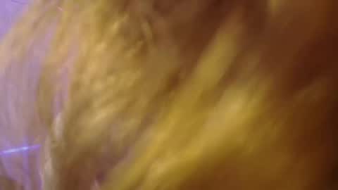 Isabella Rros online show from 6, 11, 2025