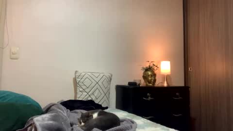 Isa online show from 10, 10, 2025