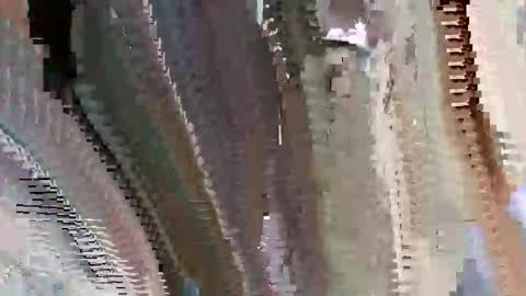 Snapshot of islandbey242 chatting on 2, 6, 2026 islandbey242 online show from 2, 6, 2026