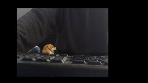 ital25usa online show from 10, 1, 2026