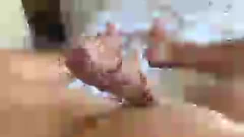 Snapshot of italianxsalami chatting on 16, 7, 2026 italianxsalami online show from 16, 7, 2026