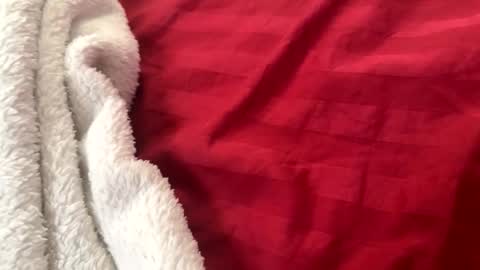 Snapshot of itsjayyourbae chatting on 22, 11, 2025 itsjayyourbae online show from 22, 11, 2025