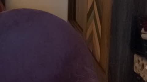 Raje online show from 15, 11, 2025