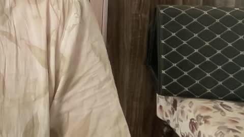 Raje online show from 26, 11, 2025