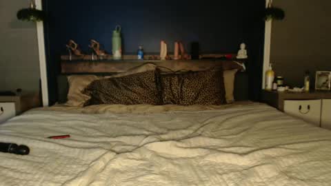 Snapshot of ivydreams chatting on 24, 12, 2024 Ivy Dreams online show from 24, 12, 2024