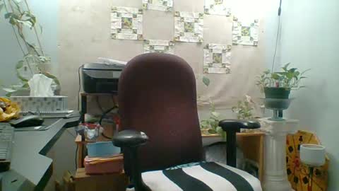 Snapshot of ivyjane3522 chatting on 17, 6, 2026 ivyjane3522 online show from 17, 6, 2026