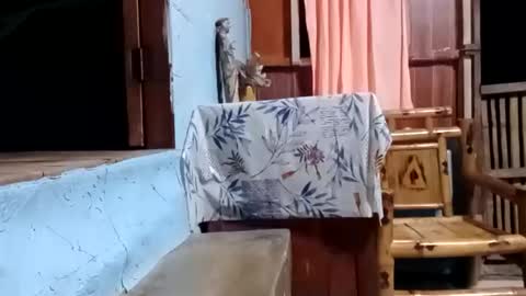 Snapshot of j828413 chatting on 27, 10, 2025 j828413 online show from 27, 10, 2025