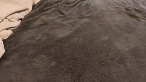 j_m12397 online show from 27, 2, 2026