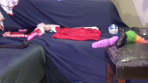 JACKSLUT BUY ME . FAN CLUB MEMBERS AND THOSE WHOM THE MEMBERS INDICATE SISY SLUT PROVIDES THEM  FREE SERVICES online show from 29, 12, 2024