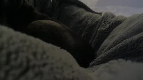 jackad44 online show from 17, 10, 2025