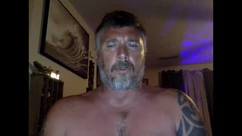 Snapshot of jackhammerhead chatting on 24, 4, 2026 jackhammerhead online show from 24, 4, 2026