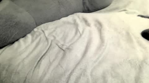 jack online show from 23, 2, 2025