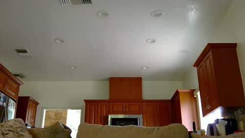 Snapshot of jacktome369 chatting on 11, 11, 2025 jacktome369 online show from 11, 11, 2025