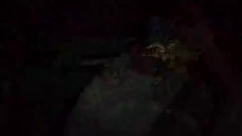 Shakey j online show from 20, 10, 2025