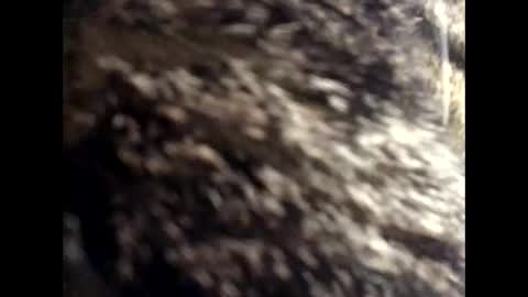 Jacob online show from 24, 3, 2026